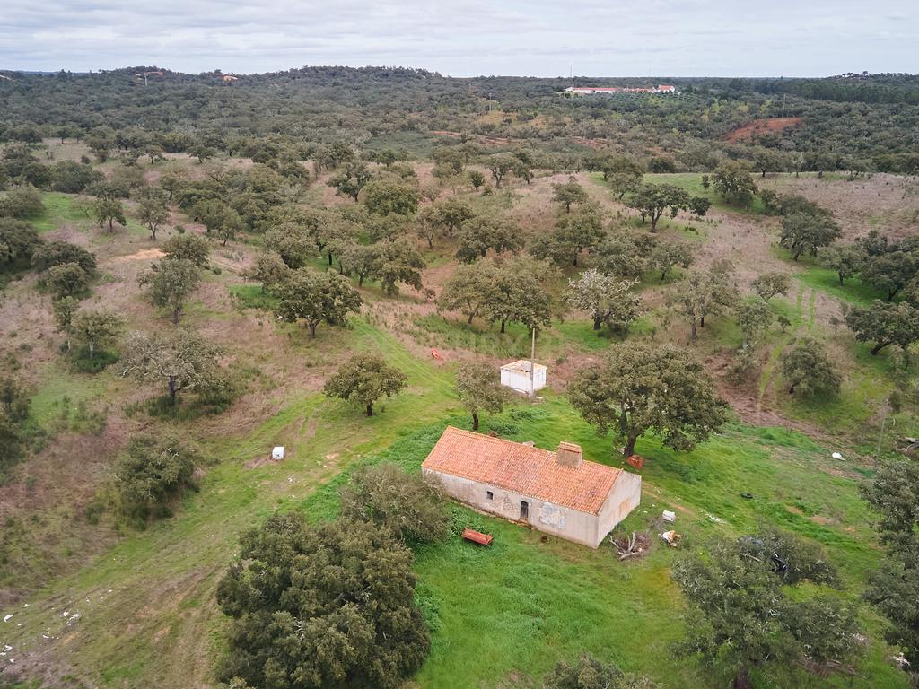🏡 Herdade com 30 Hectares em Santiago do Cacém – Oportunidade Única! 🌿 - Image 34