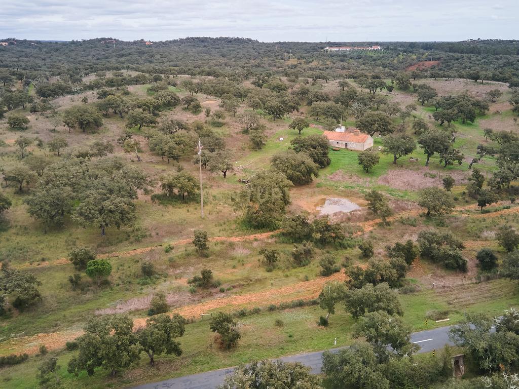 🏡 Herdade com 30 Hectares em Santiago do Cacém – Oportunidade Única! 🌿 - Image 38