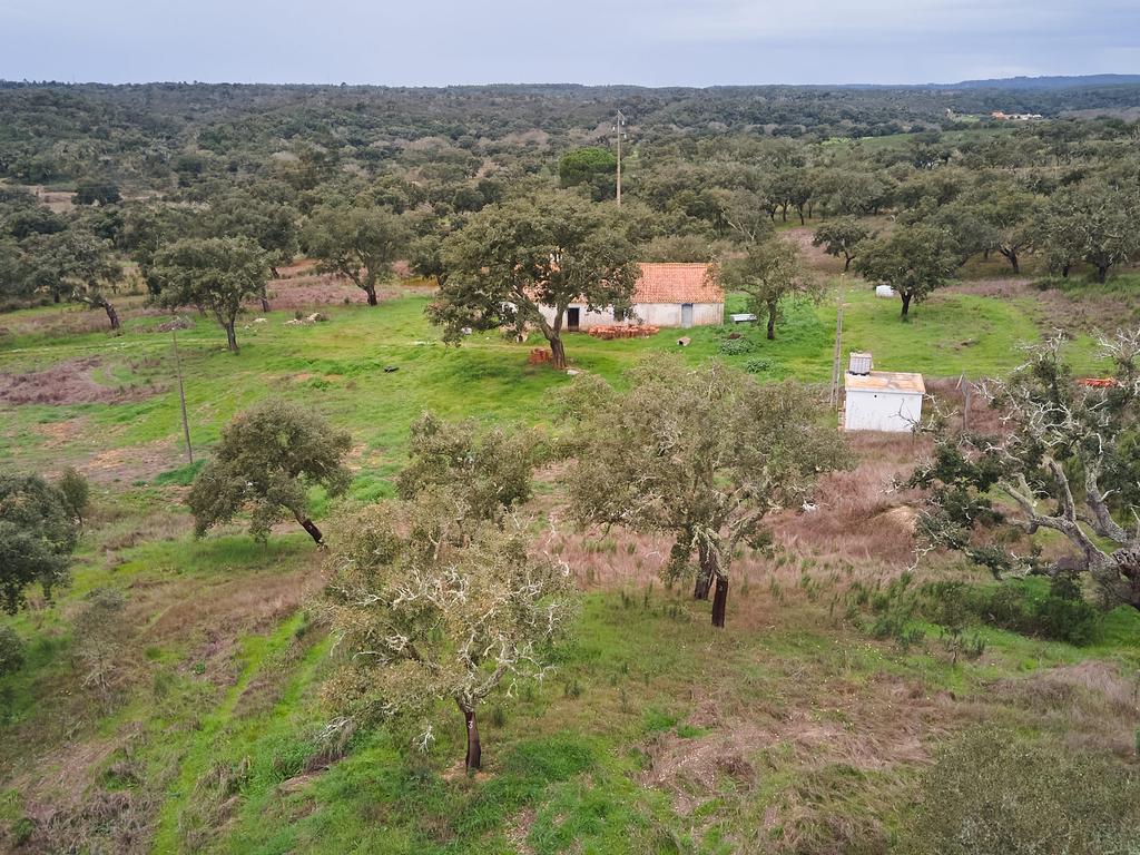 🏡 Herdade com 30 Hectares em Santiago do Cacém – Oportunidade Única! 🌿 - Image 56