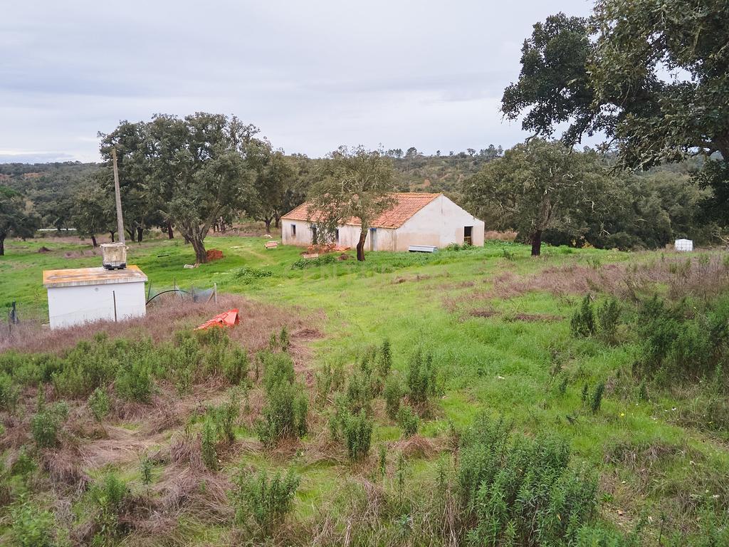 🏡 Herdade com 30 Hectares em Santiago do Cacém – Oportunidade Única! 🌿 - Image 43