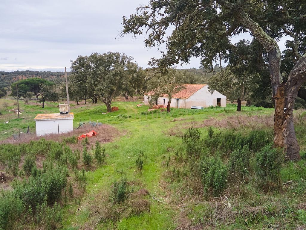 🏡 Herdade com 30 Hectares em Santiago do Cacém – Oportunidade Única! 🌿 - Image 57