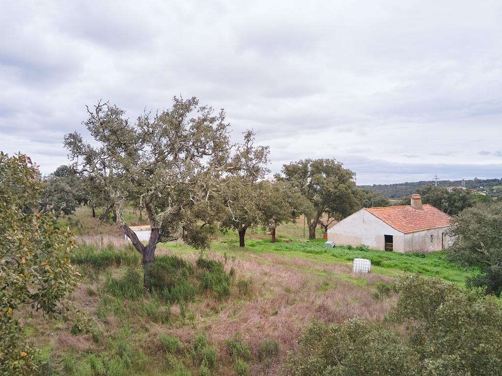 🏡 Herdade com 30 Hectares em Santiago do Cacém – Oportunidade Única! 🌿 - Image 20