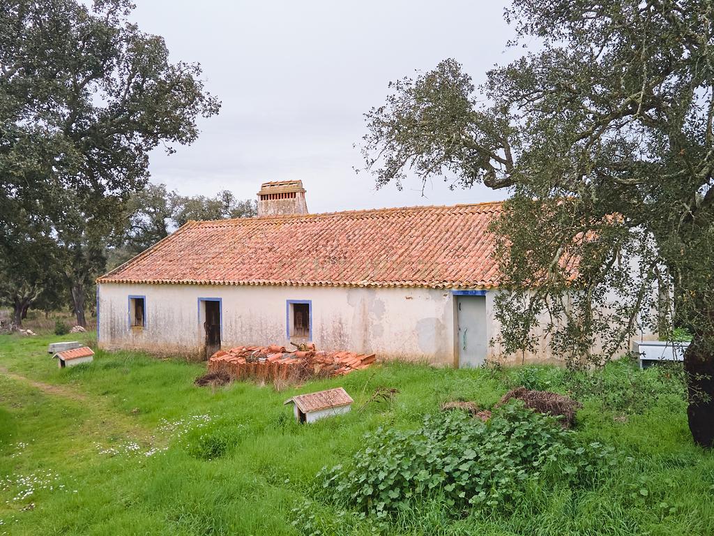 🏡 Herdade com 30 Hectares em Santiago do Cacém – Oportunidade Única! 🌿 - Image 2