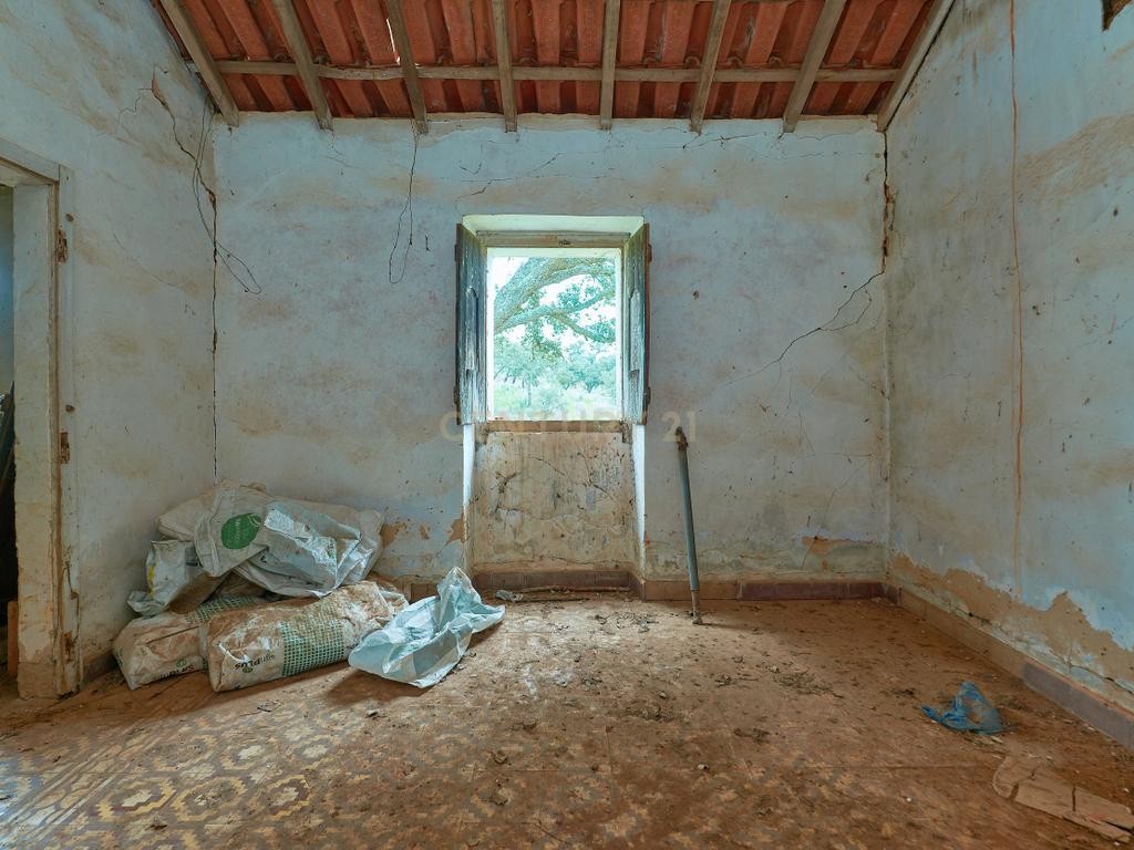 🏡 Herdade com 30 Hectares em Santiago do Cacém – Oportunidade Única! 🌿 - Image 27