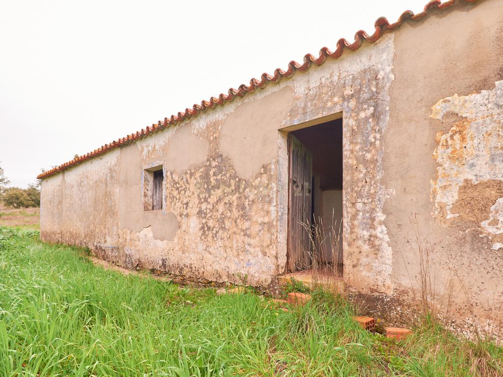 🏡 Herdade com 30 Hectares em Santiago do Cacém – Oportunidade Única! 🌿 - Image 11