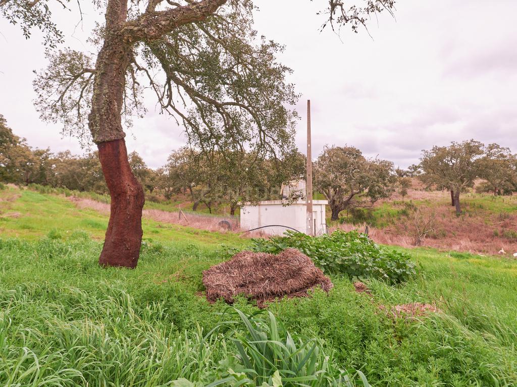 🏡 Herdade com 30 Hectares em Santiago do Cacém – Oportunidade Única! 🌿 - Image 32