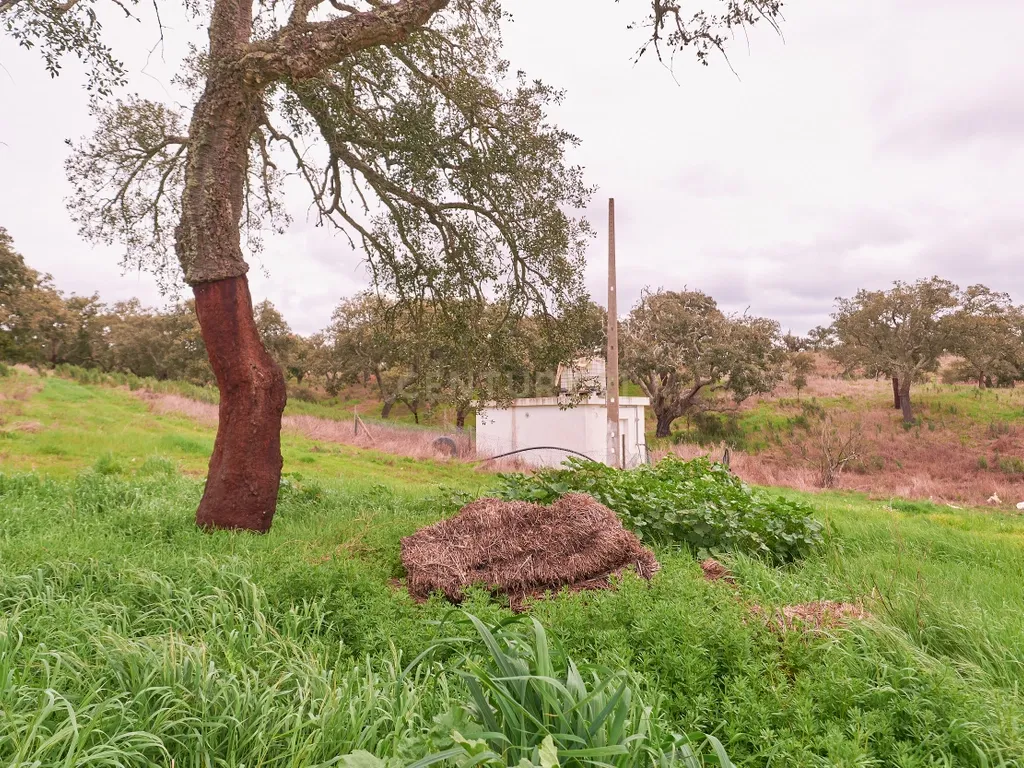 🏡 Herdade com 30 Hectares em Santiago do Cacém – Oportunidade Única! 🌿 - Image 32