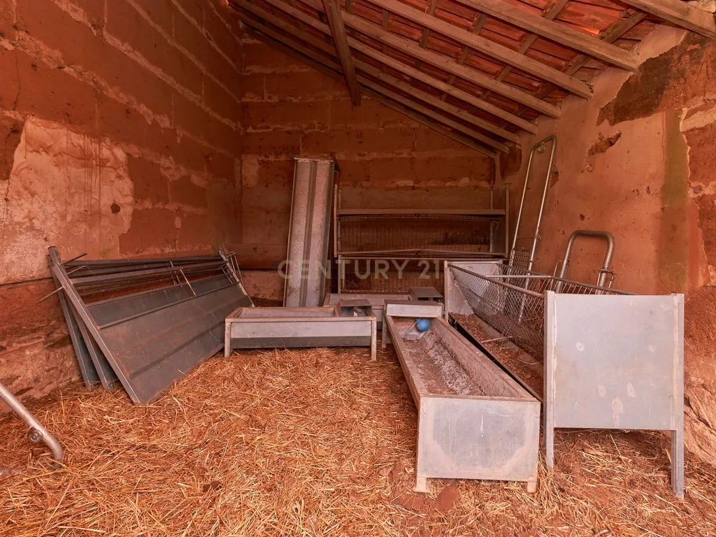 🏡 Herdade com 30 Hectares em Santiago do Cacém – Oportunidade Única! 🌿 - Image 19