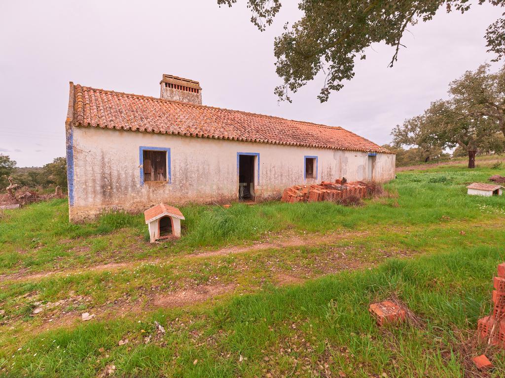 🏡 Herdade com 30 Hectares em Santiago do Cacém – Oportunidade Única! 🌿 - Image 17