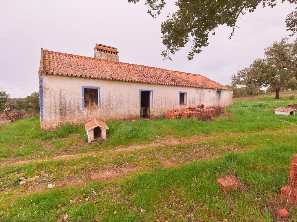 🏡 Herdade com 30 Hectares em Santiago do Cacém – Oportunidade Única! 🌿 - Image 17