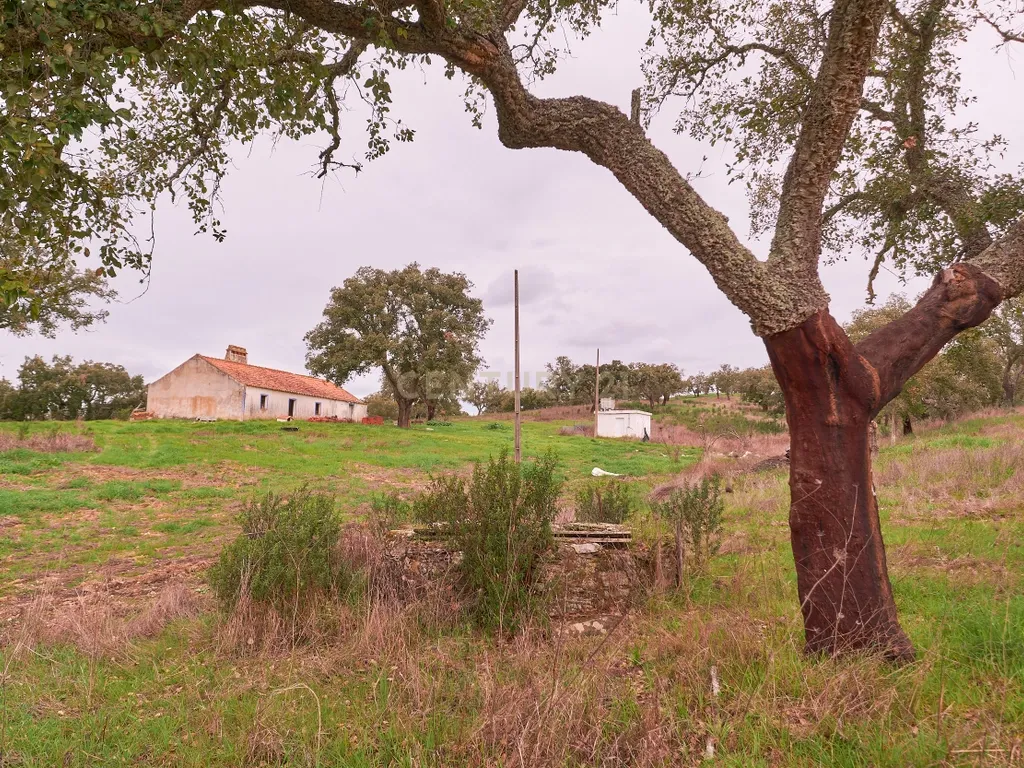 🏡 Herdade com 30 Hectares em Santiago do Cacém – Oportunidade Única! 🌿 - Image 4