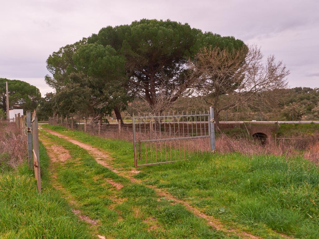 🏡 Herdade com 30 Hectares em Santiago do Cacém – Oportunidade Única! 🌿 - Image 7