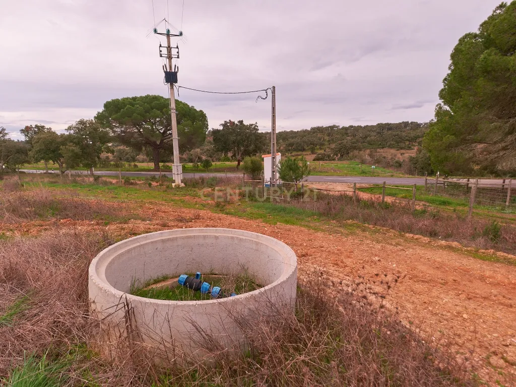 🏡 Herdade com 30 Hectares em Santiago do Cacém – Oportunidade Única! 🌿 - Image 6