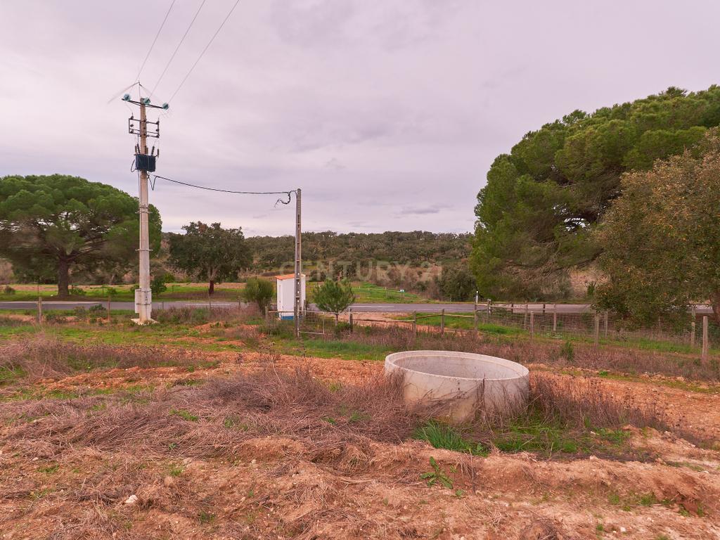 🏡 Herdade com 30 Hectares em Santiago do Cacém – Oportunidade Única! 🌿 - Image 8
