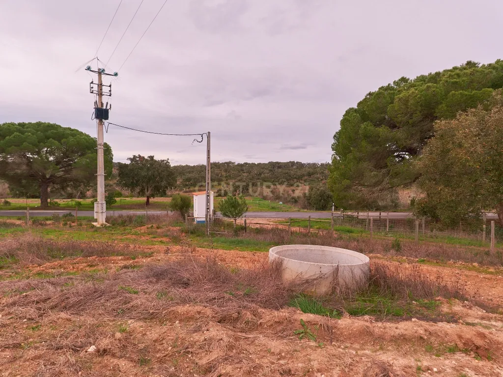 🏡 Herdade com 30 Hectares em Santiago do Cacém – Oportunidade Única! 🌿 - Image 8