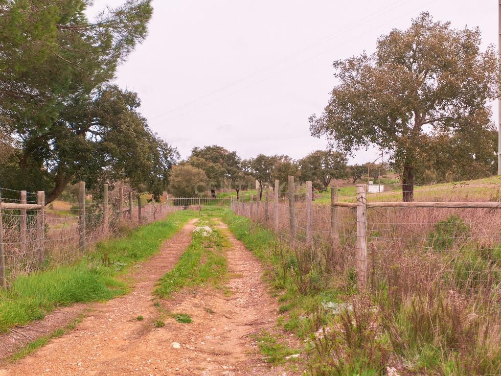 🏡 Herdade com 30 Hectares em Santiago do Cacém – Oportunidade Única! 🌿 - Image 15