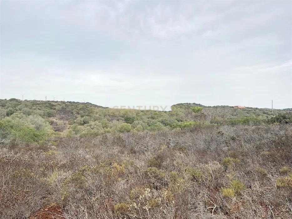 NÃO PERCA ESTA GRANDE OPORTUNIDADE! TERRENO RÚSTICO COM 1.5 HA COM ACESSO MUITO BEM LOCALIZADO A POUCOS MINUTOS DAS PARADISIACAS PRAIAS DE LAGOS! - Image 1
