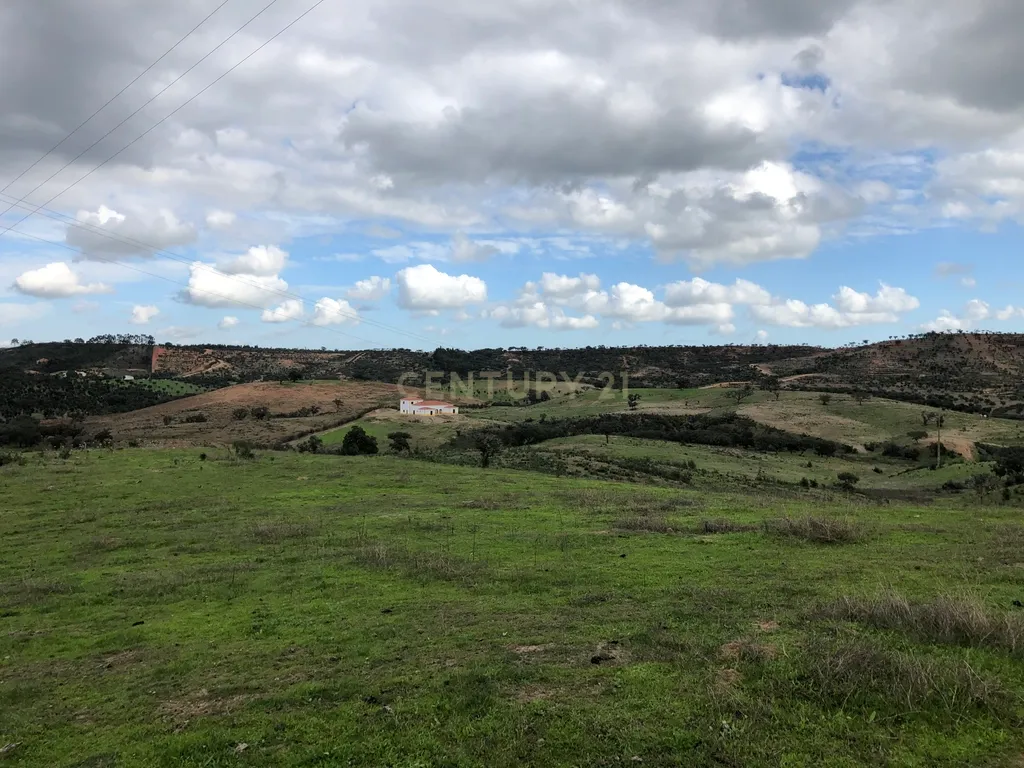 Apresento esta espetacular Herdade Alentejana em Ourique com 25 Hectares, com cavalariças. Obra de conclusão da Herdade em curso. - Image 16