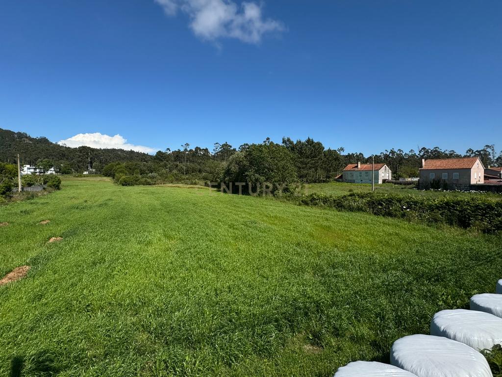 Terreno Urbano em Esposende com Viabilidade de Construção - Image 10