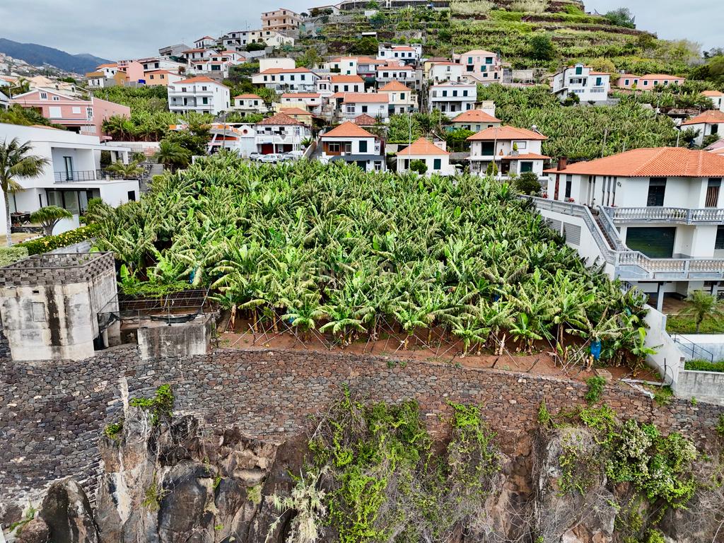 Terreno para Construção com Vista Mar em Câmara de Lobos, Funchal - Image 9