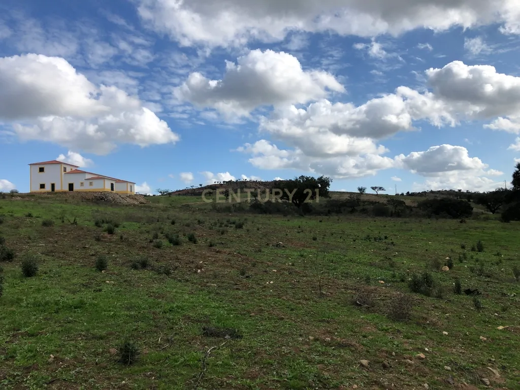 Apresento esta espetacular Herdade Alentejana em Ourique com 25 Hectares, com cavalariças. Obra de conclusão da Herdade em curso. - Image 14