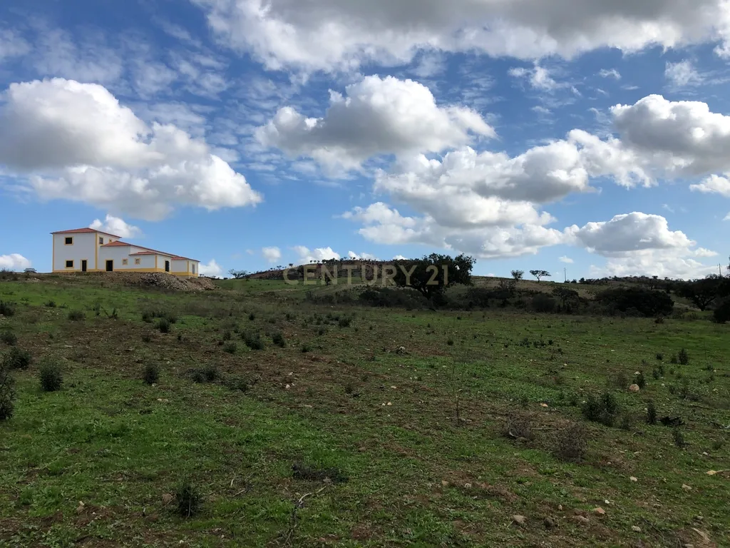Apresento esta espetacular Herdade Alentejana em Ourique com 25 Hectares, com cavalariças. Obra de conclusão da Herdade em curso. - Image 17