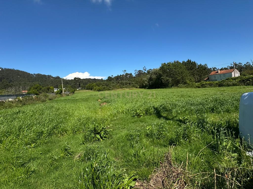 Terreno Urbano em Esposende com Viabilidade de Construção - Image 6