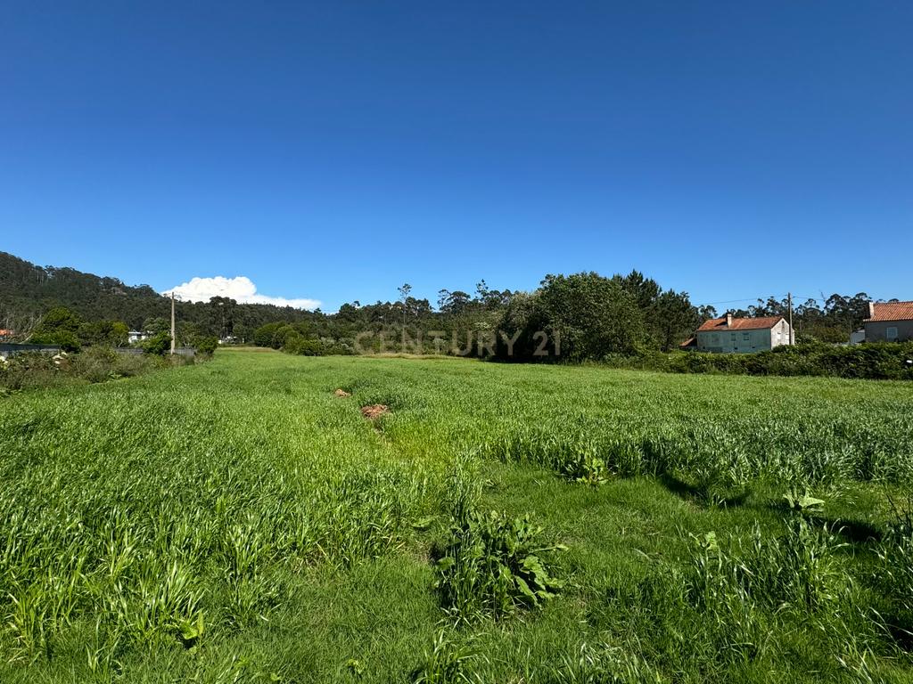 Terreno Urbano em Esposende com Viabilidade de Construção - Image 5