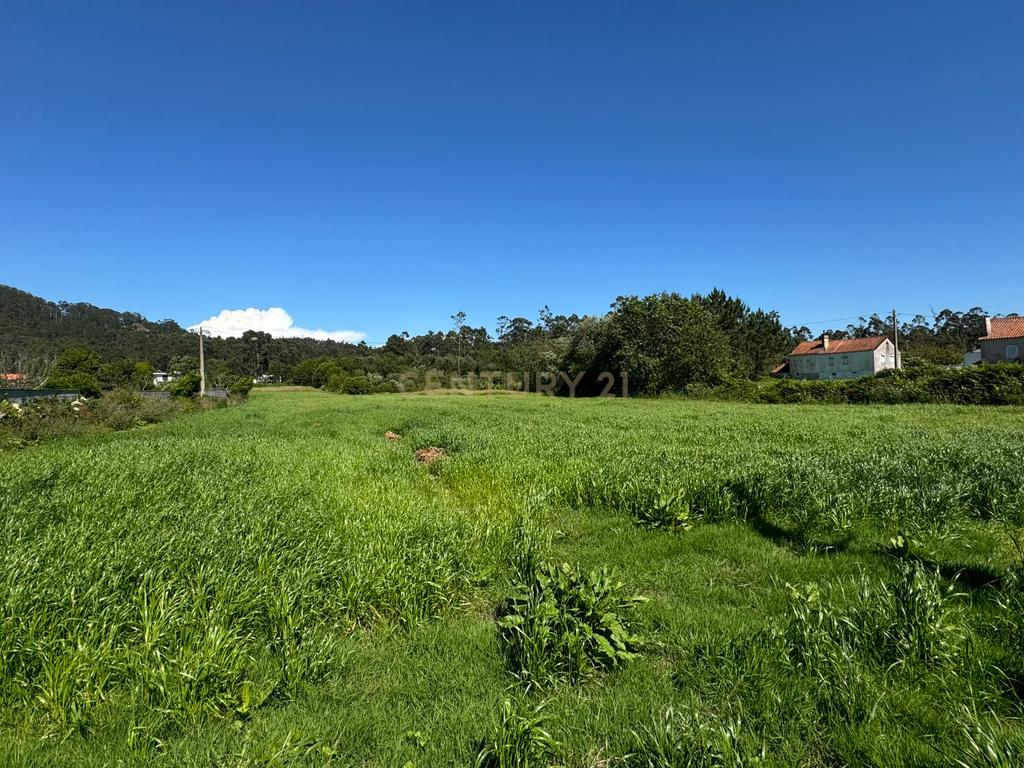 Terreno Urbano em Esposende com Viabilidade de Construção - Image 7