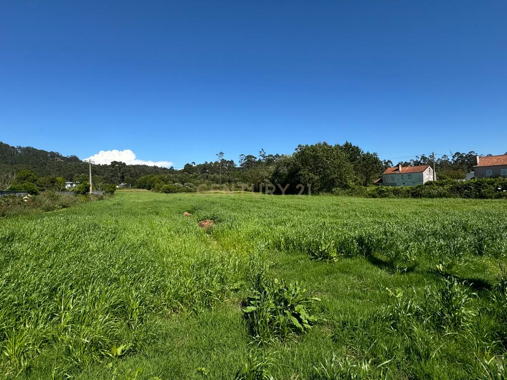 Terreno Urbano em Esposende com Viabilidade de Construção - Image 8
