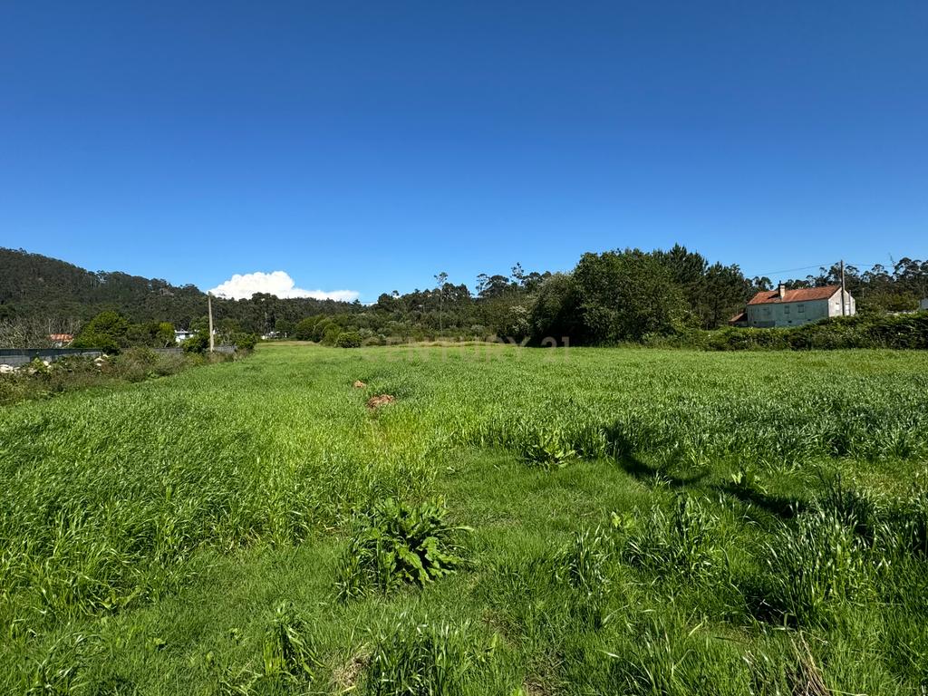 Terreno Urbano em Esposende com Viabilidade de Construção - Image 12