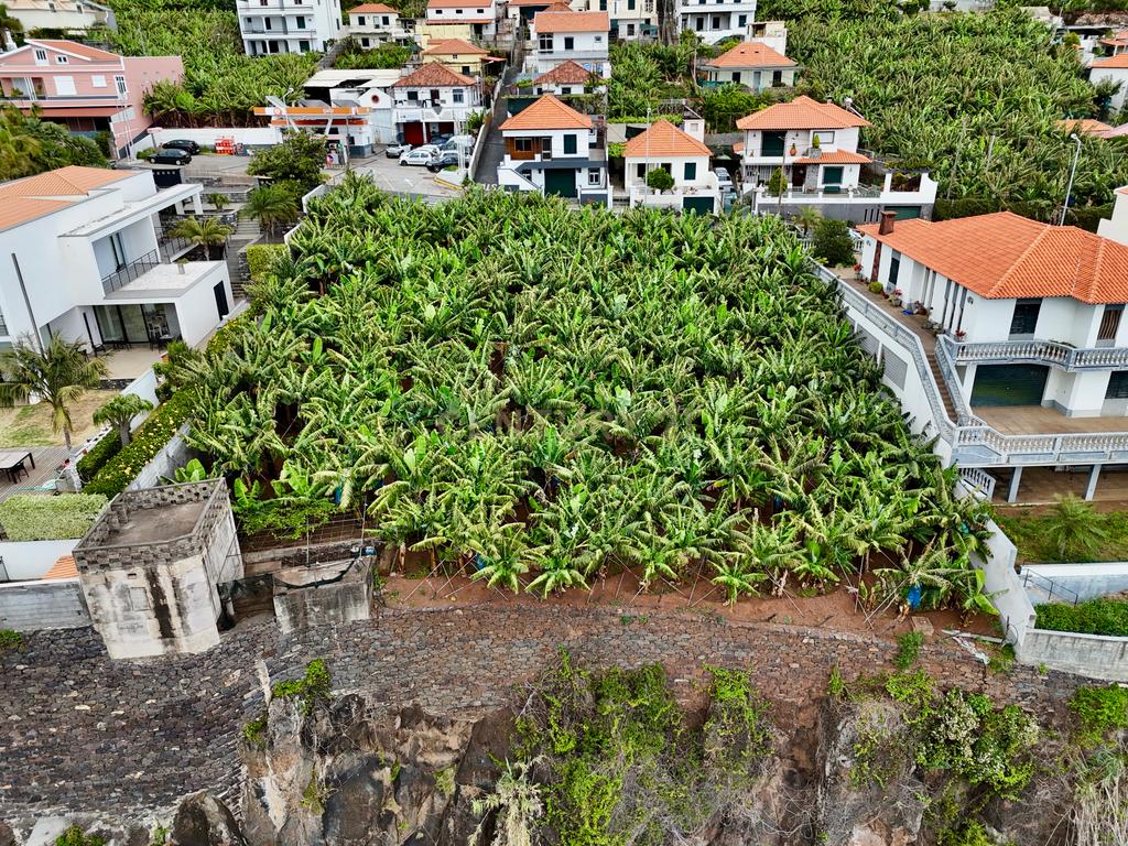 Terreno para Construção com Vista Mar em Câmara de Lobos, Funchal - Image 13