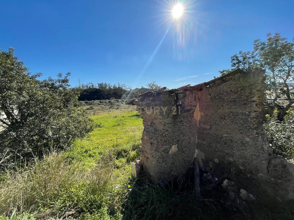 Terreno com Ruína - Excelente Preço - Image 11