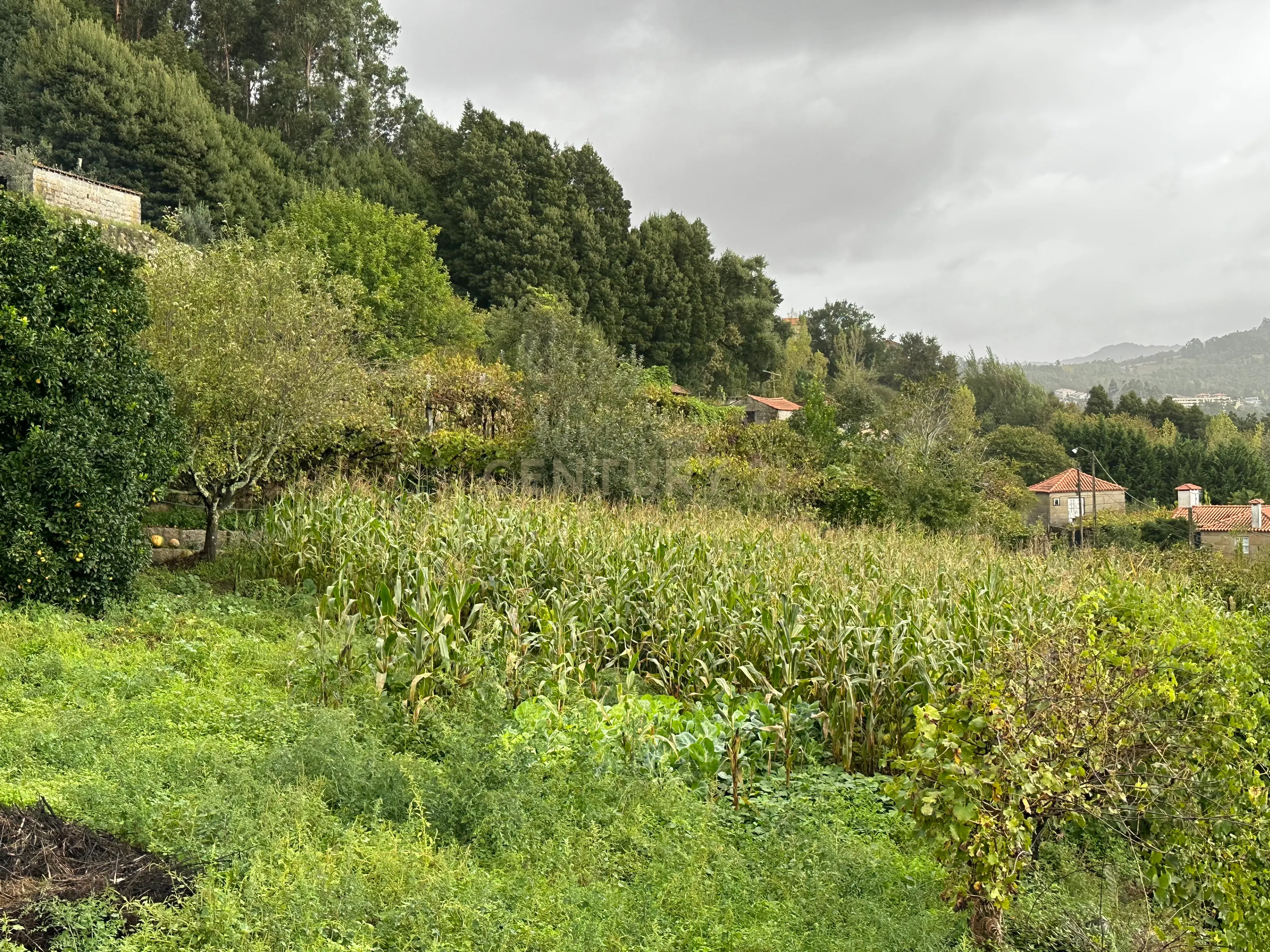 Moradia em Magrelos, no Marco de Canaveses - Image 24