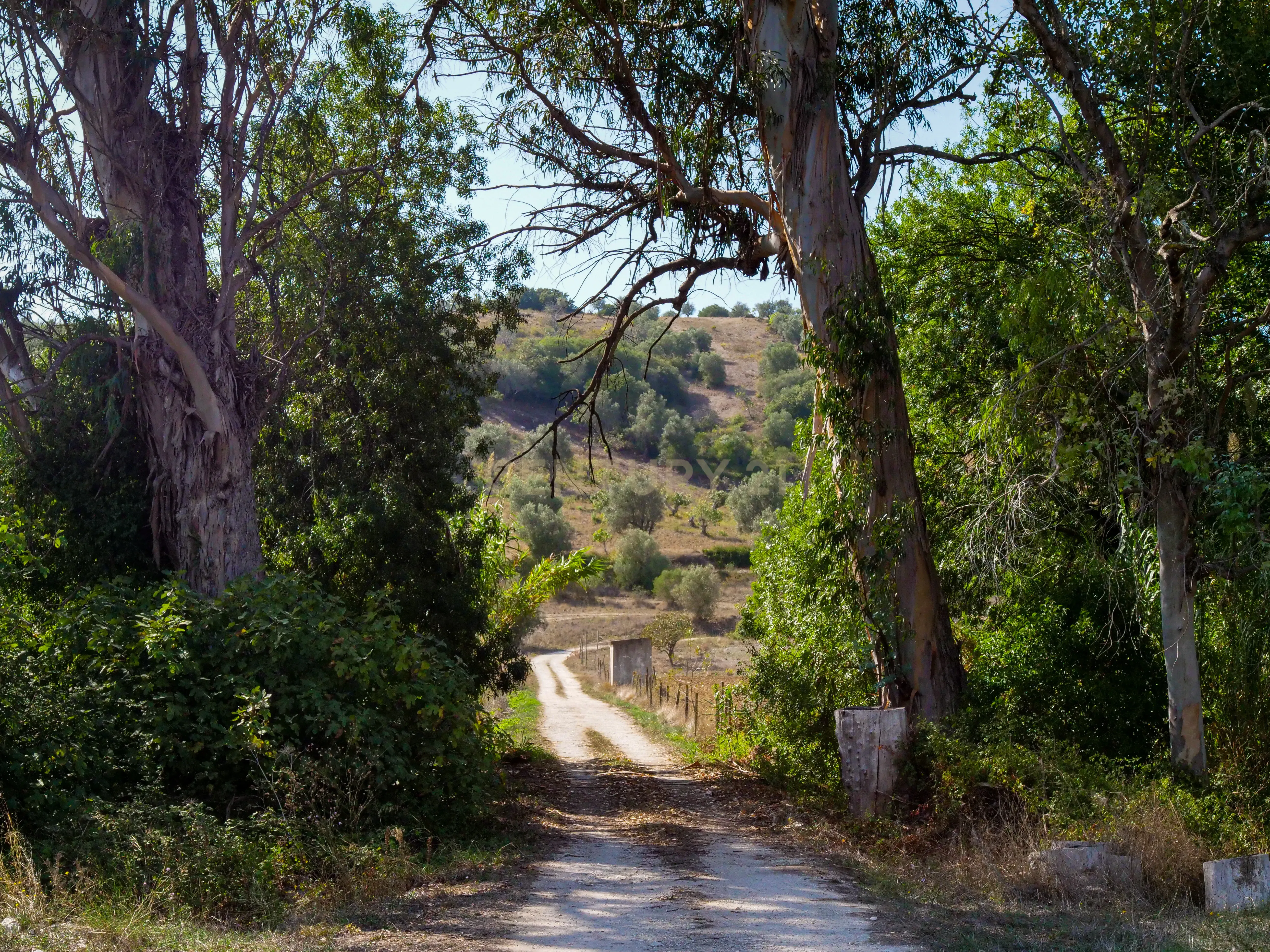 Quinta para venda - Image 16