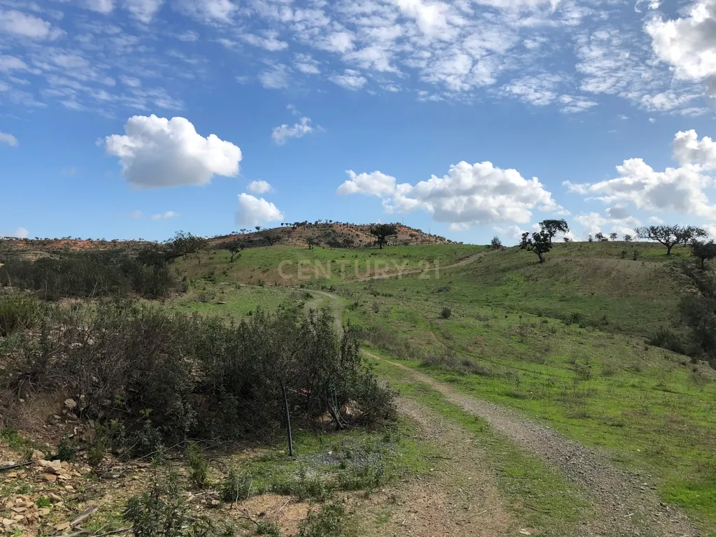 Apresento esta espetacular Herdade Alentejana em Ourique com 25 Hectares, com cavalariças. Obra de conclusão da Herdade em curso. - Image 18