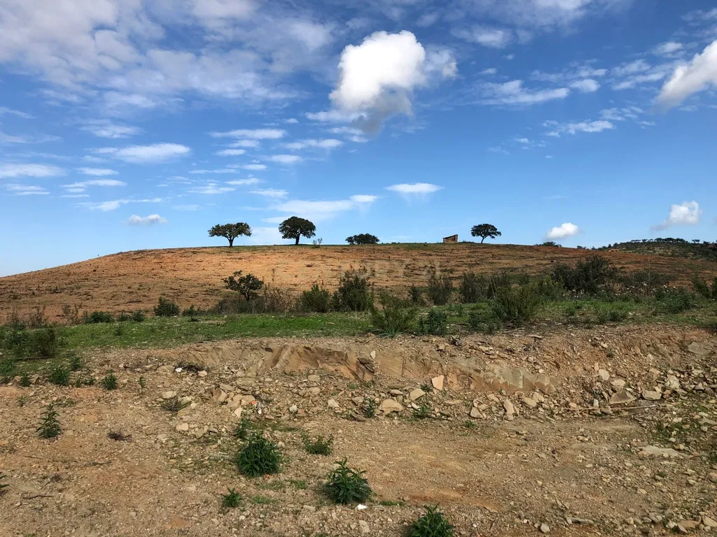 Apresento esta espetacular Herdade Alentejana em Ourique com 25 Hectares, com cavalariças. Obra de conclusão da Herdade em curso. - Image 19