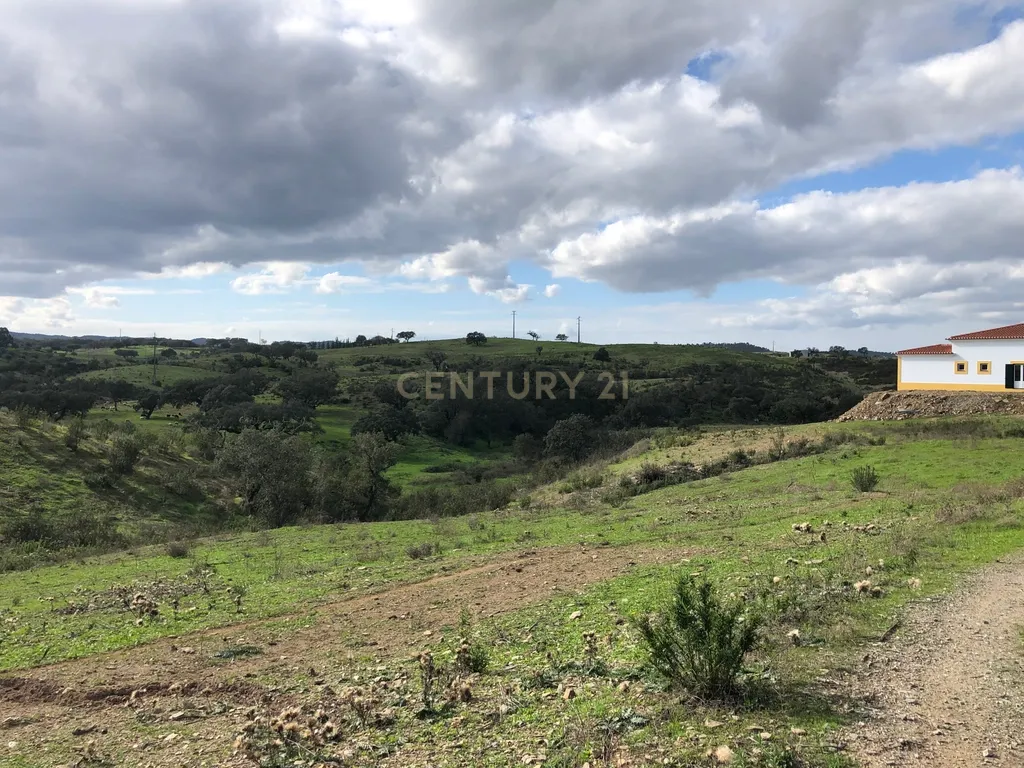 Apresento esta espetacular Herdade Alentejana em Ourique com 25 Hectares, com cavalariças. Obra de conclusão da Herdade em curso. - Image 22