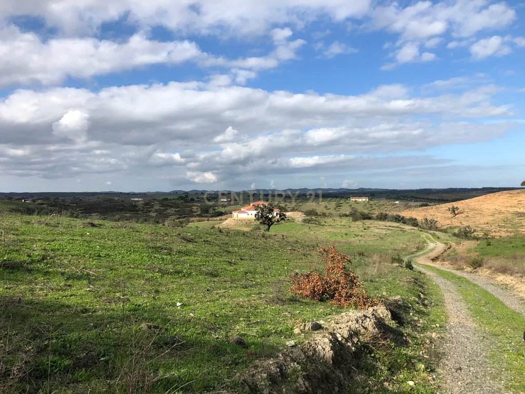 Apresento esta espetacular Herdade Alentejana em Ourique com 25 Hectares, com cavalariças. Obra de conclusão da Herdade em curso. - Image 20
