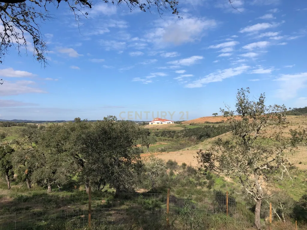 Apresento esta espetacular Herdade Alentejana em Ourique com 25 Hectares, com cavalariças. Obra de conclusão da Herdade em curso. - Image 21
