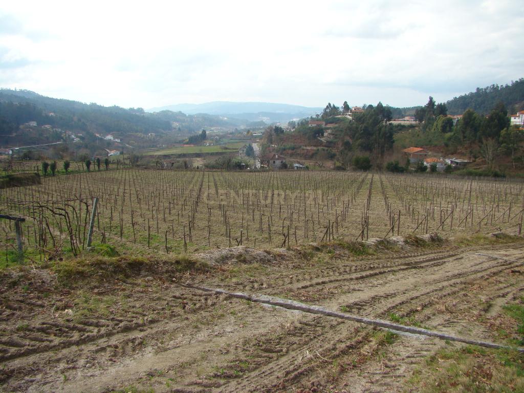 Quinta de charme em Mancelos, Amarante - Image 17