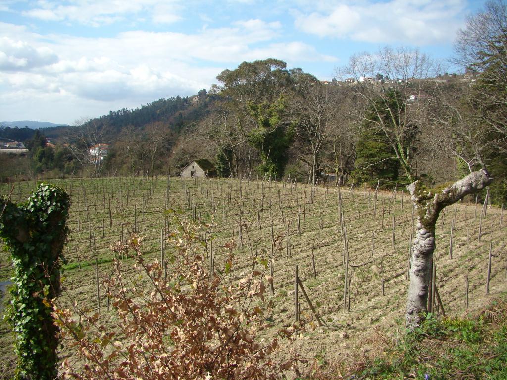 Quinta de charme em Mancelos, Amarante - Image 8