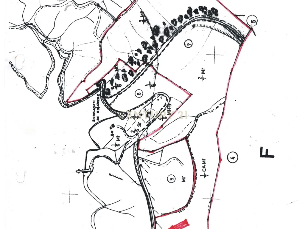 Terreno de 23 Hectares, junto à Barragem da Bravura. - Image 7