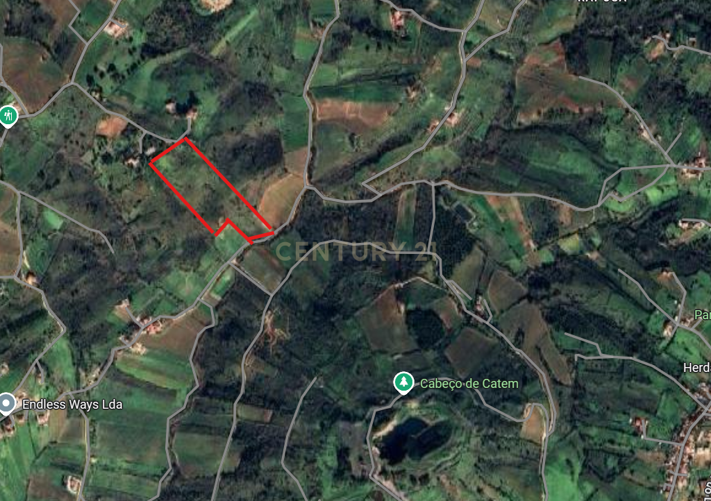 Terreno para venda em Alenquer - Image 2