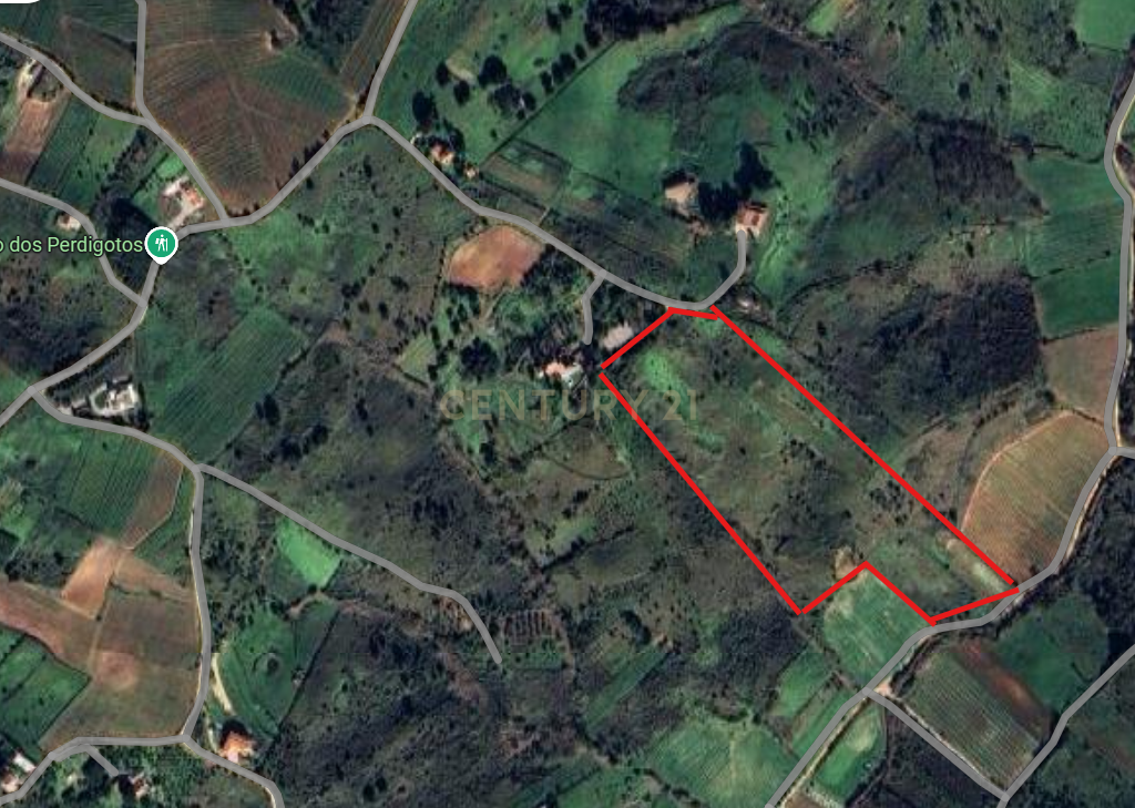 Terreno para venda em Alenquer - Image 6