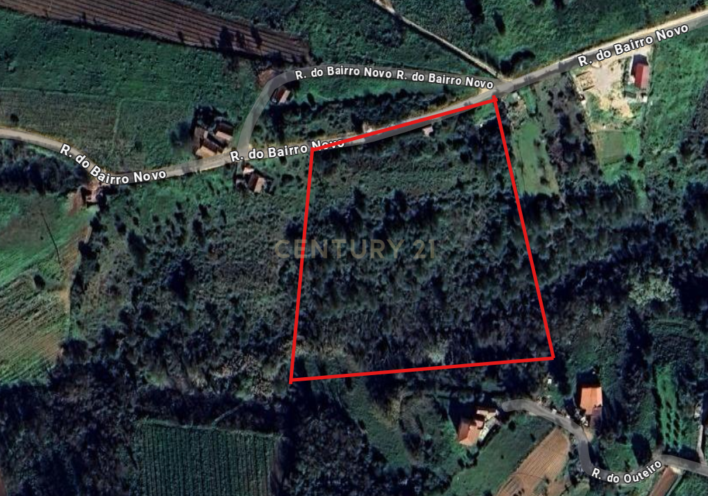 Terreno para venda em Alenquer - Image 4