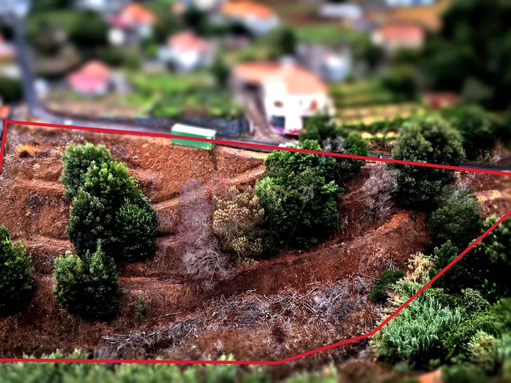 Oportunidade de Investimento - Terreno em Gaula, Madeira - Image 2