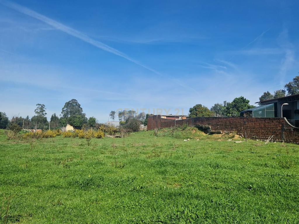 Terrenos em Angeja - Image 2