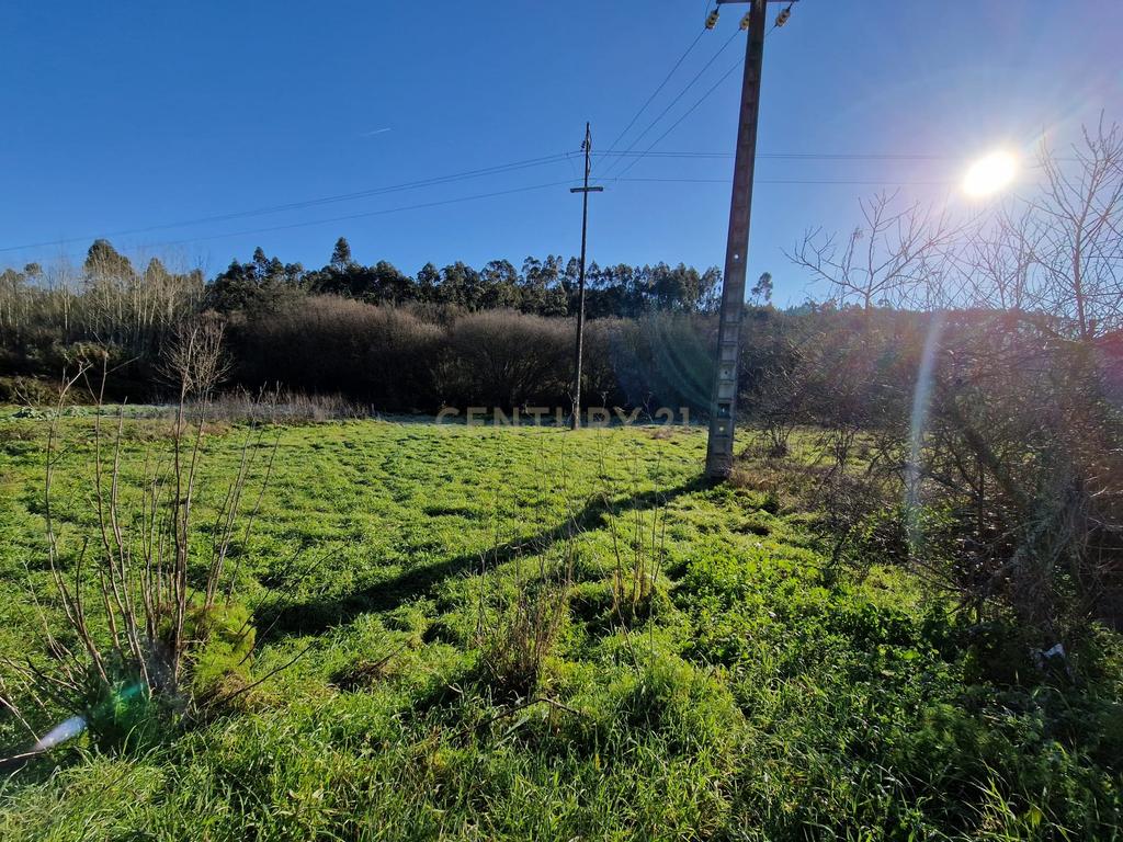 Terreno para construção de Moradia em Cartaria - Image 2