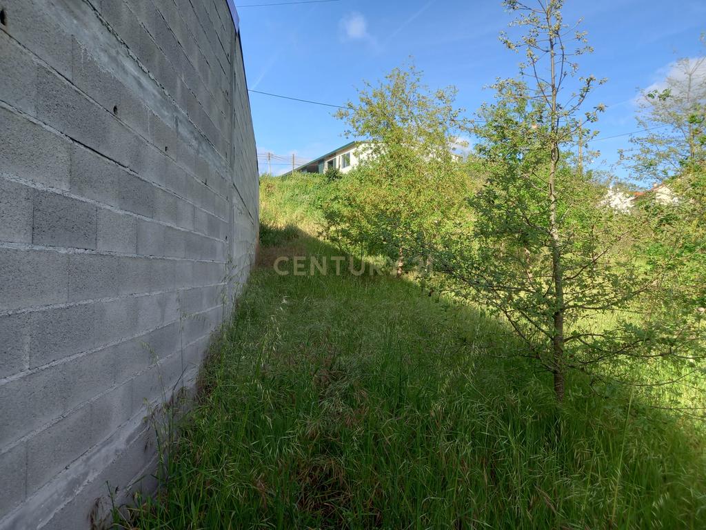 Terreno com 800 m2 em Barbas Novas - Image 10
